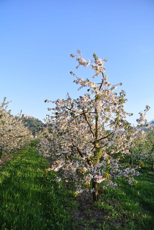 Agriturismo Bortolotti Vila Pergine Valsugana Exterior foto